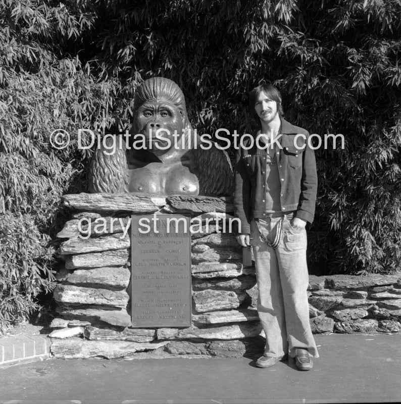 Mike, San Diego Zoo, Gorilla Statue, Analog, Portraits, Men, Black and White