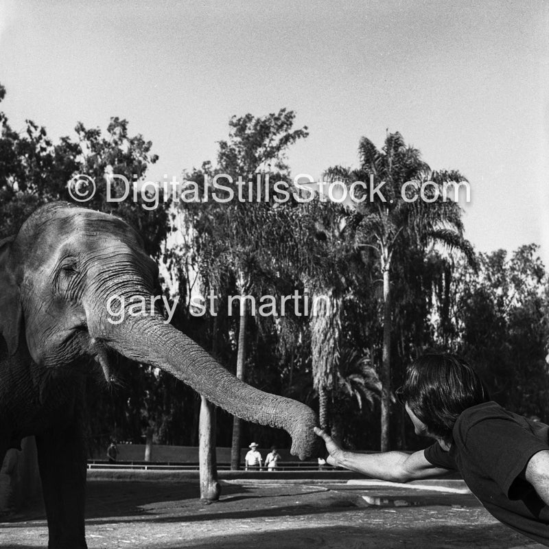 Chris Moses Touching An Elephant Trunk Analog, Portrait, Men, Black & White