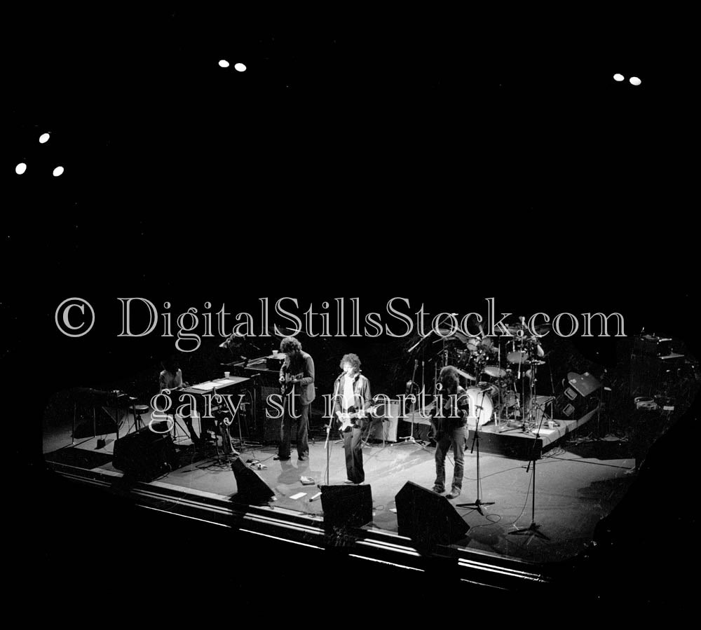 Bob Dylan Performing Live Analog, Portraits, Groups B & W