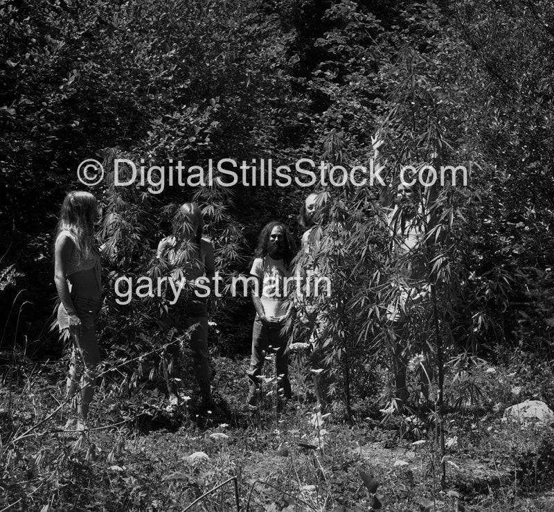 Hippies and Pot Plants