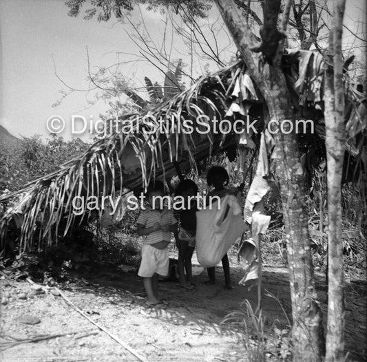 Kids Under a Palm Shelter