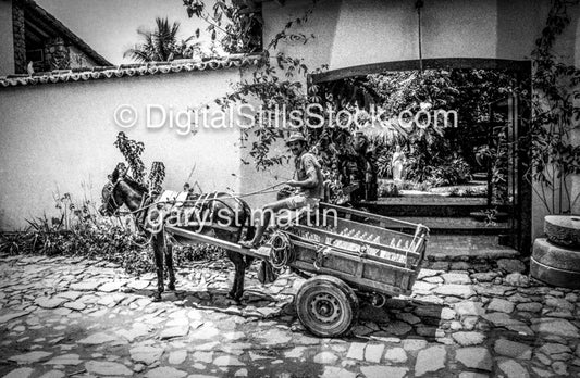 Man and Donkey Brazil
