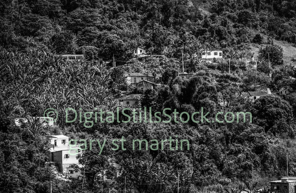 Bird's Eye View Brazil