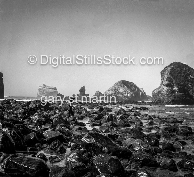 Rocky Shore, Big Sur, California , analog scenery
