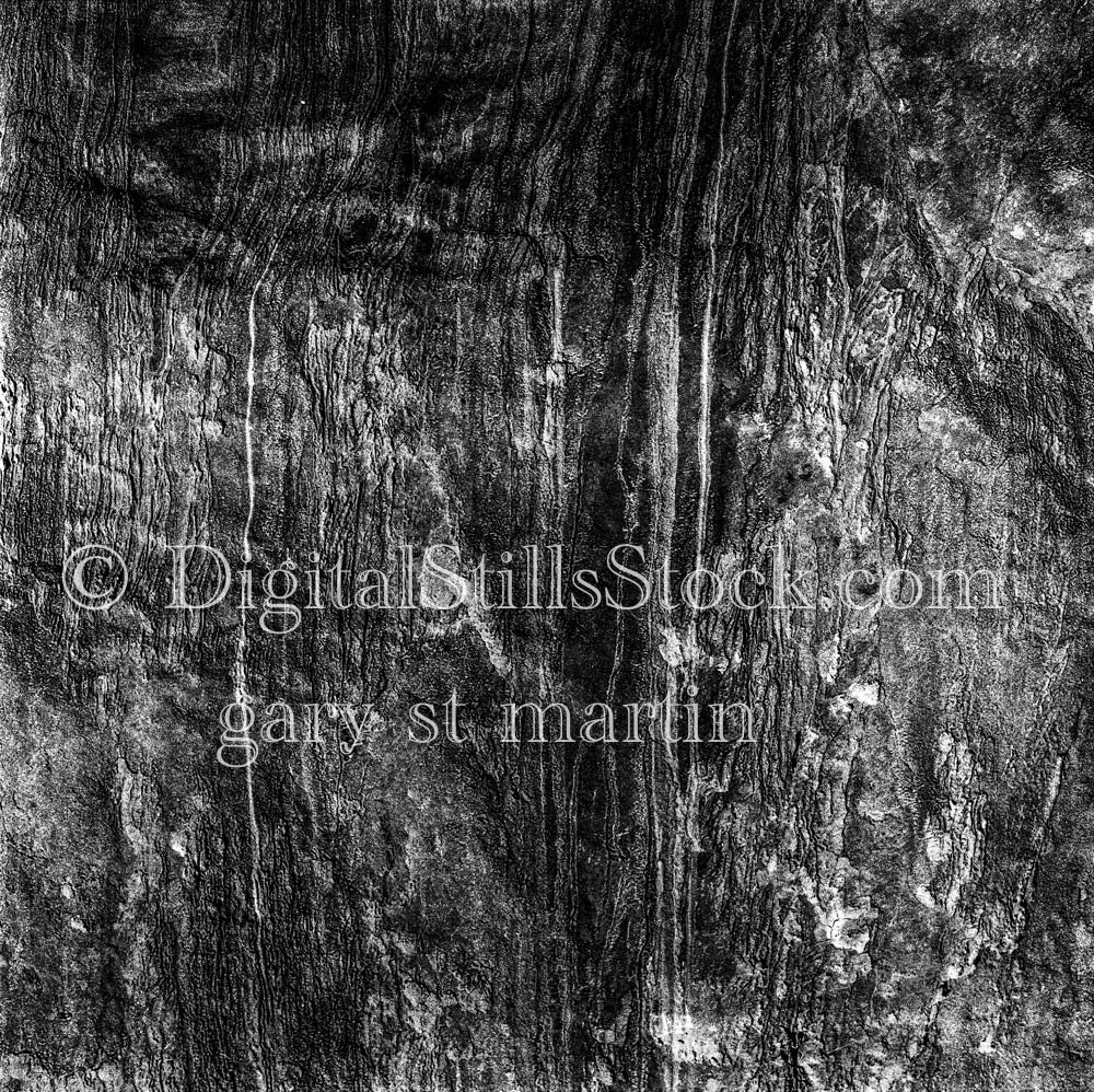 Natural Mosaic Within Jagged Tree