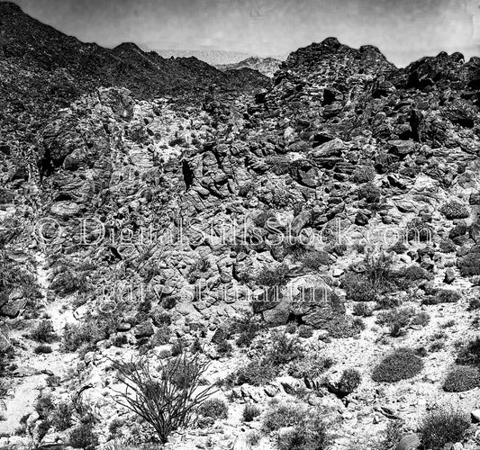 Rocky Mountain Terrain in Palm Springs