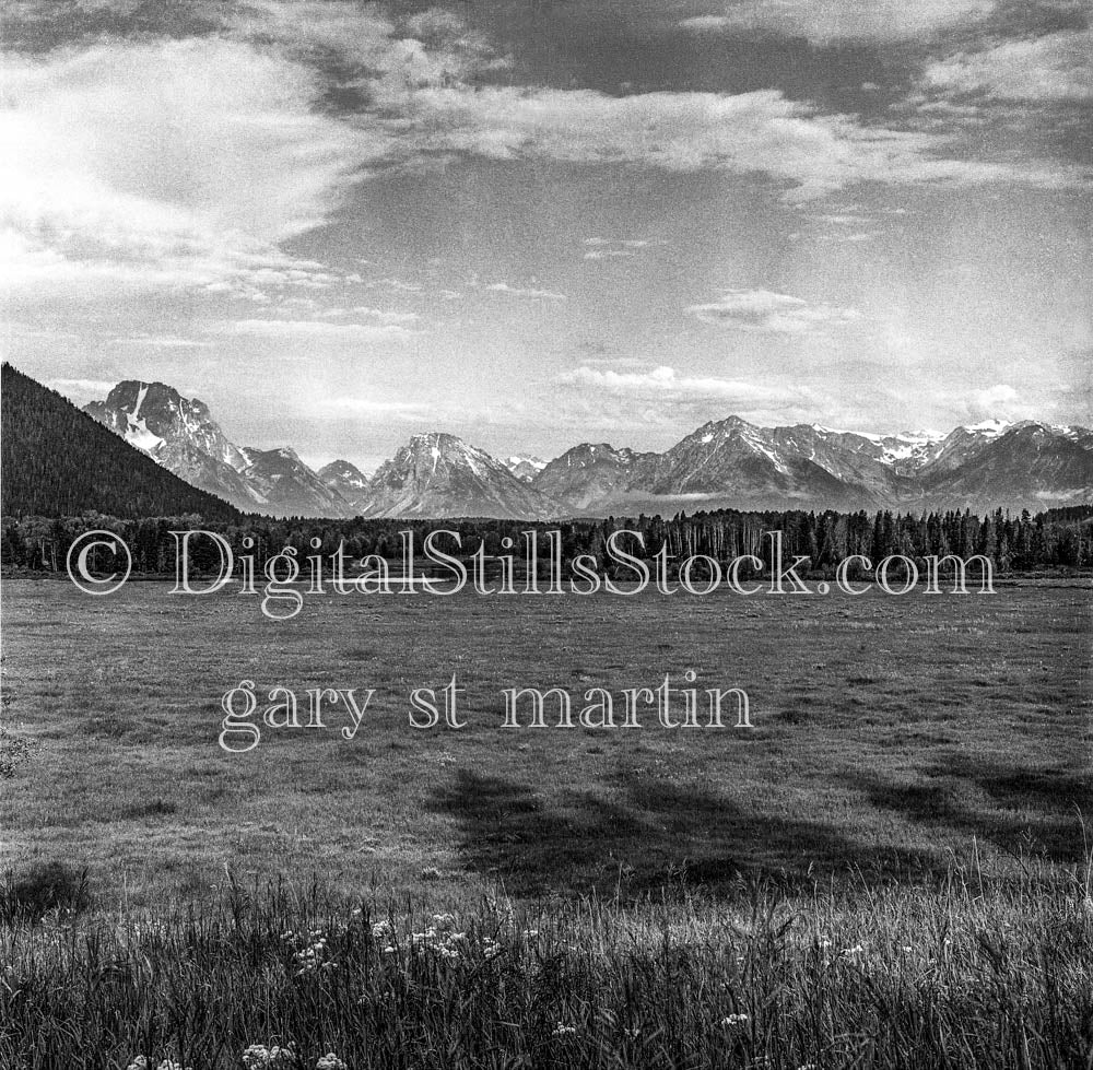 Snowy Oregon Mountains Behind Tree Line