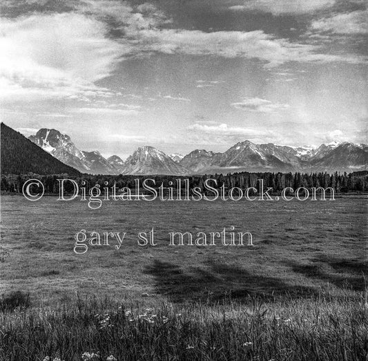Snowy Oregon Mountains Behind Tree Line