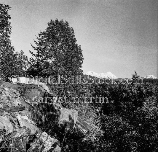 Man Laying on Rock Overlooking Mountain Peak, Oregon