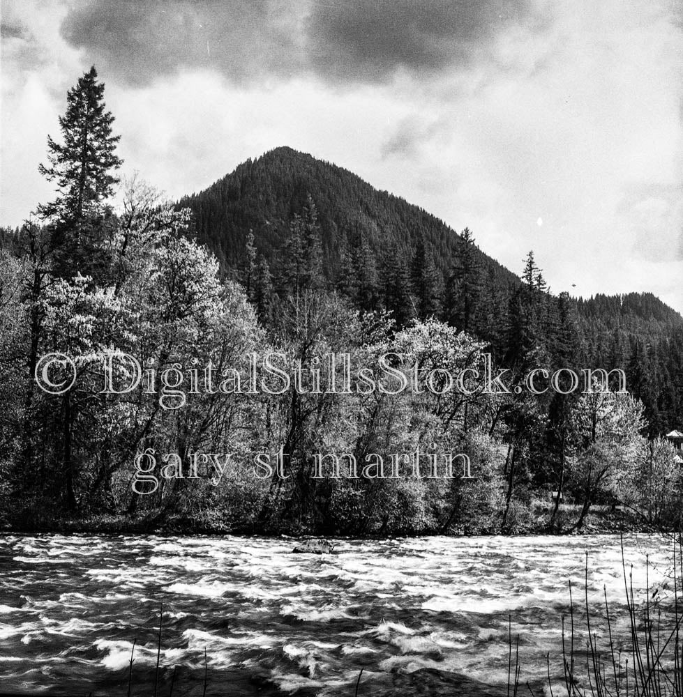 Rushing River Ahead of Schreiner Peak, Oregon