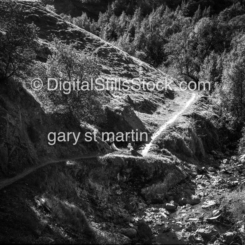 Right down the path to the hot springs, Sonoma County, California  analog scenery