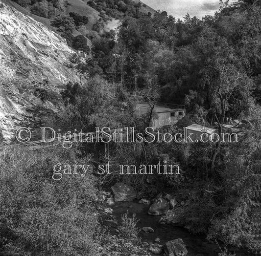 Shelter Deep in Oregon Forest