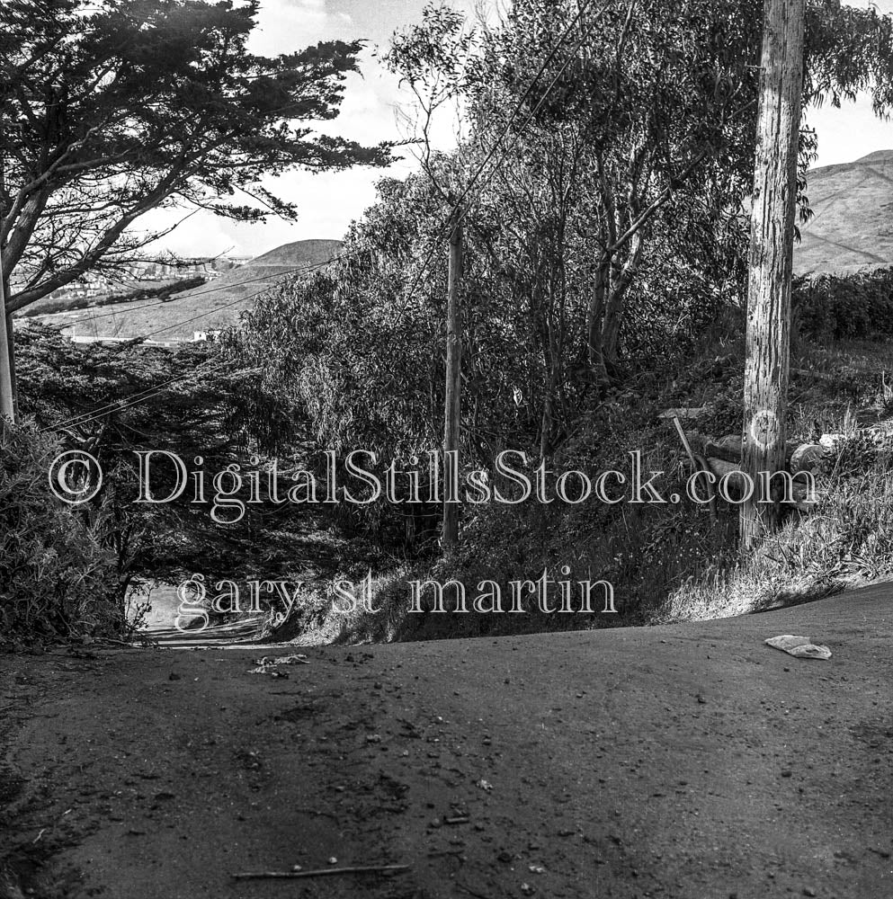 Downwards Sloped Path Lined by Trees