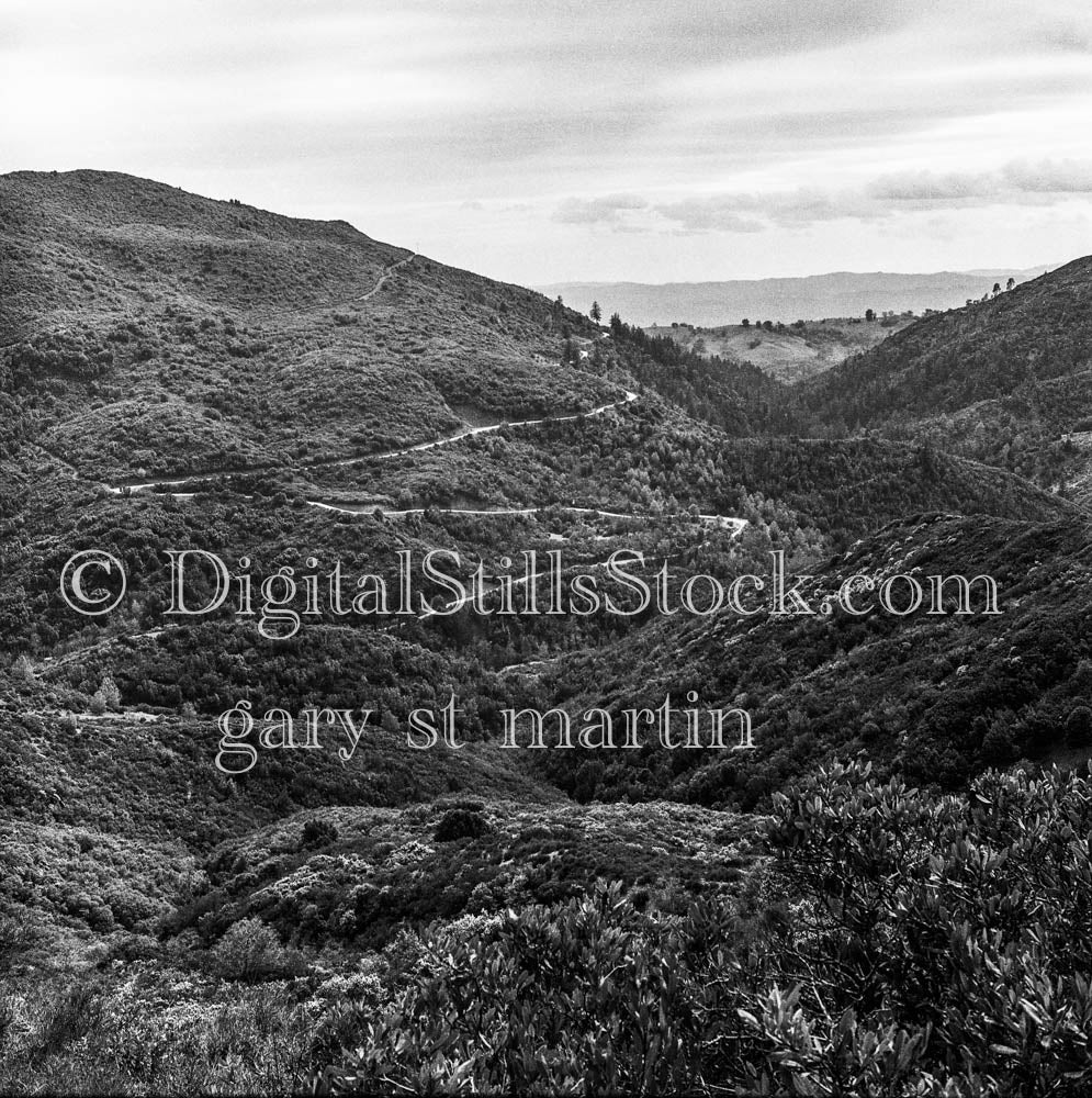 Trails and Overflowing Greenery