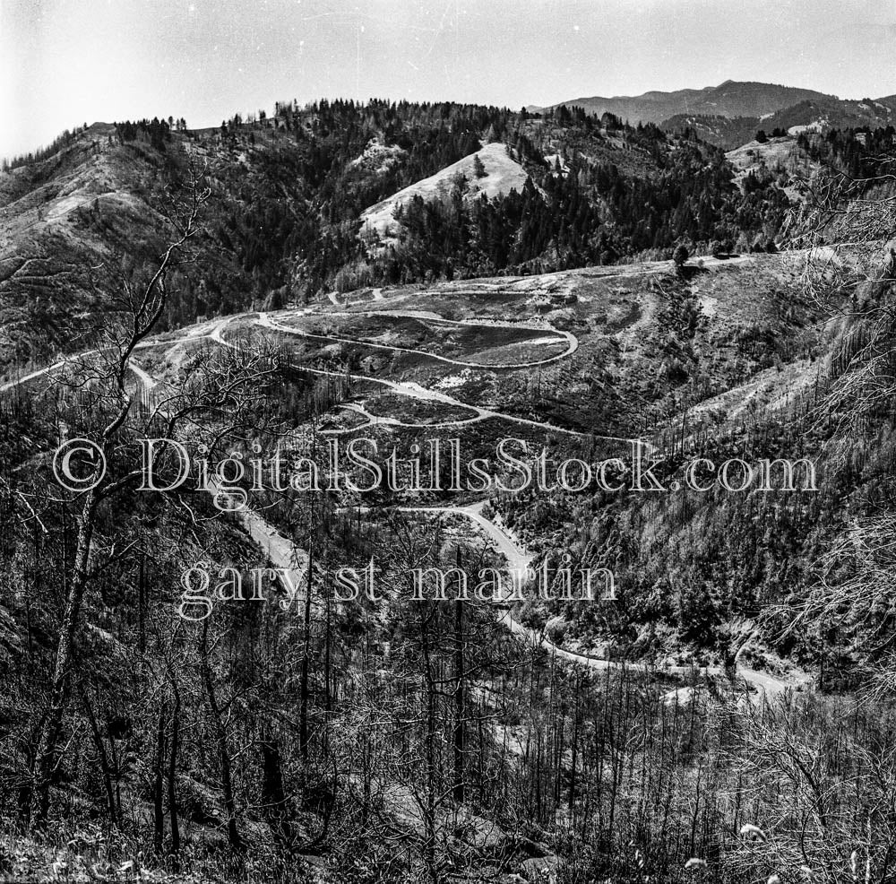 Sloped Trails and Elevated Forest Hills, Northern California