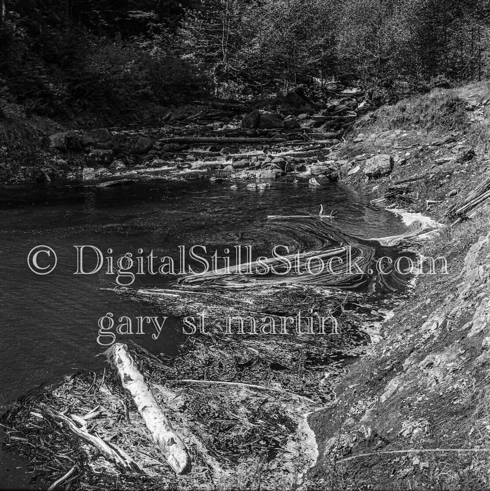 River Surrounded by Dams in Forest