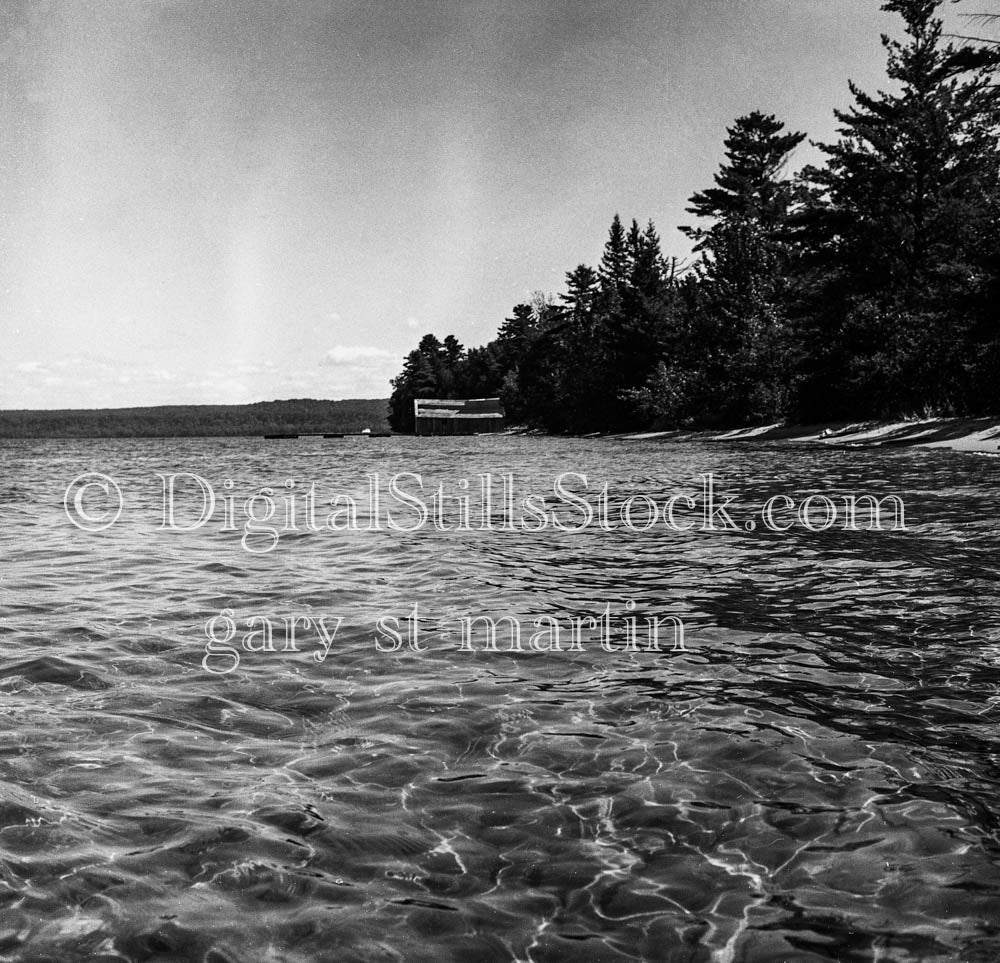 Forested Shoreline Along Lake