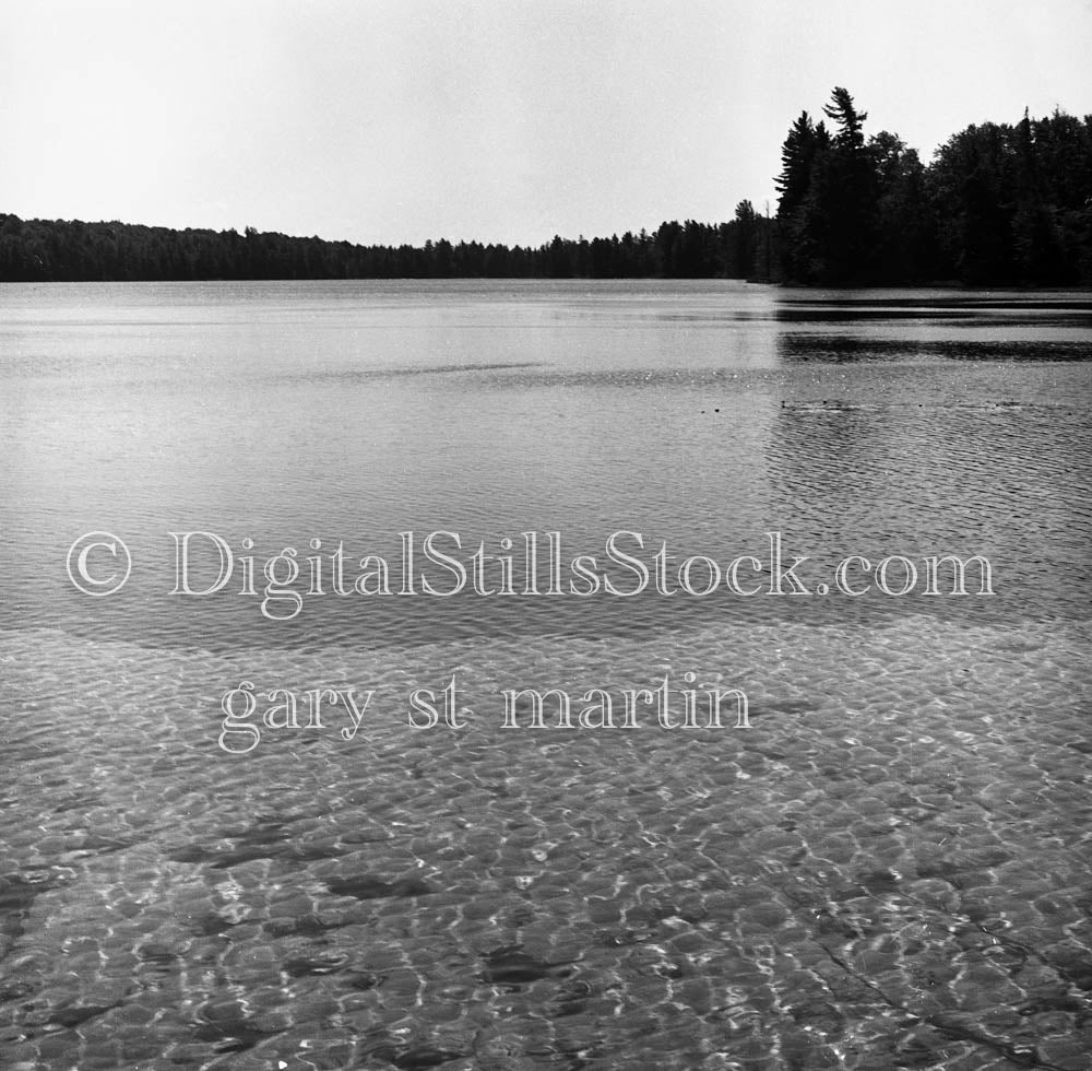 Shadowed Tree Line Surrounding Lake