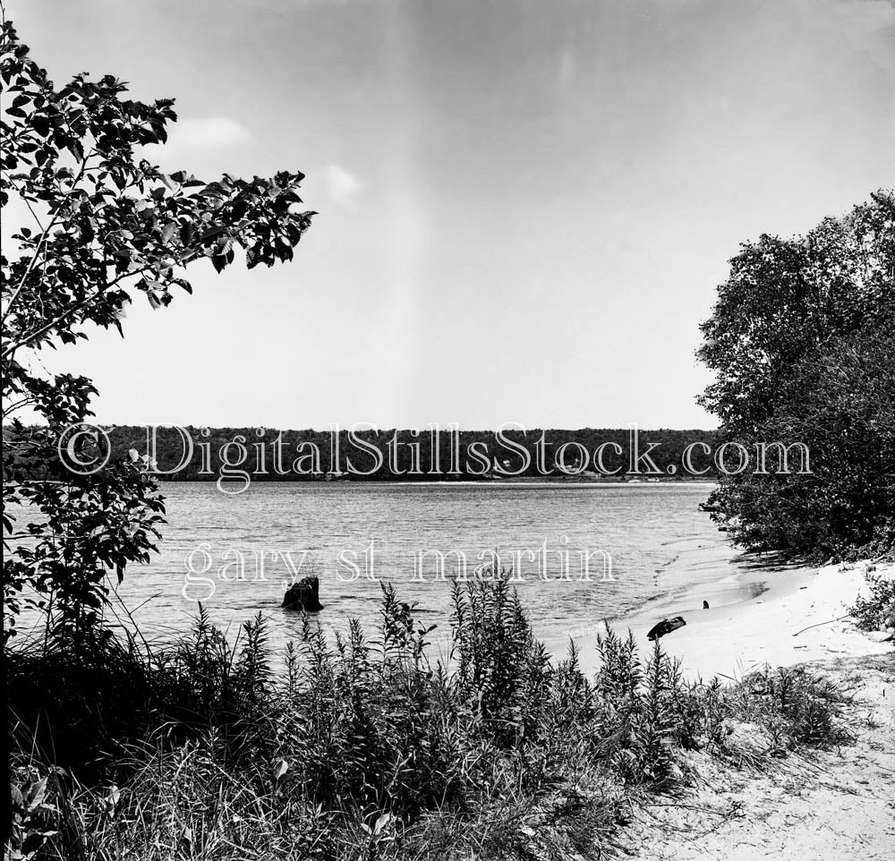 Lake View and Surrounding Greenery