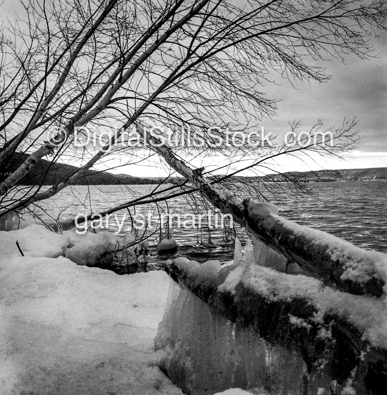 Fallen Snow at Lake Superior, Michigan, analog scenery