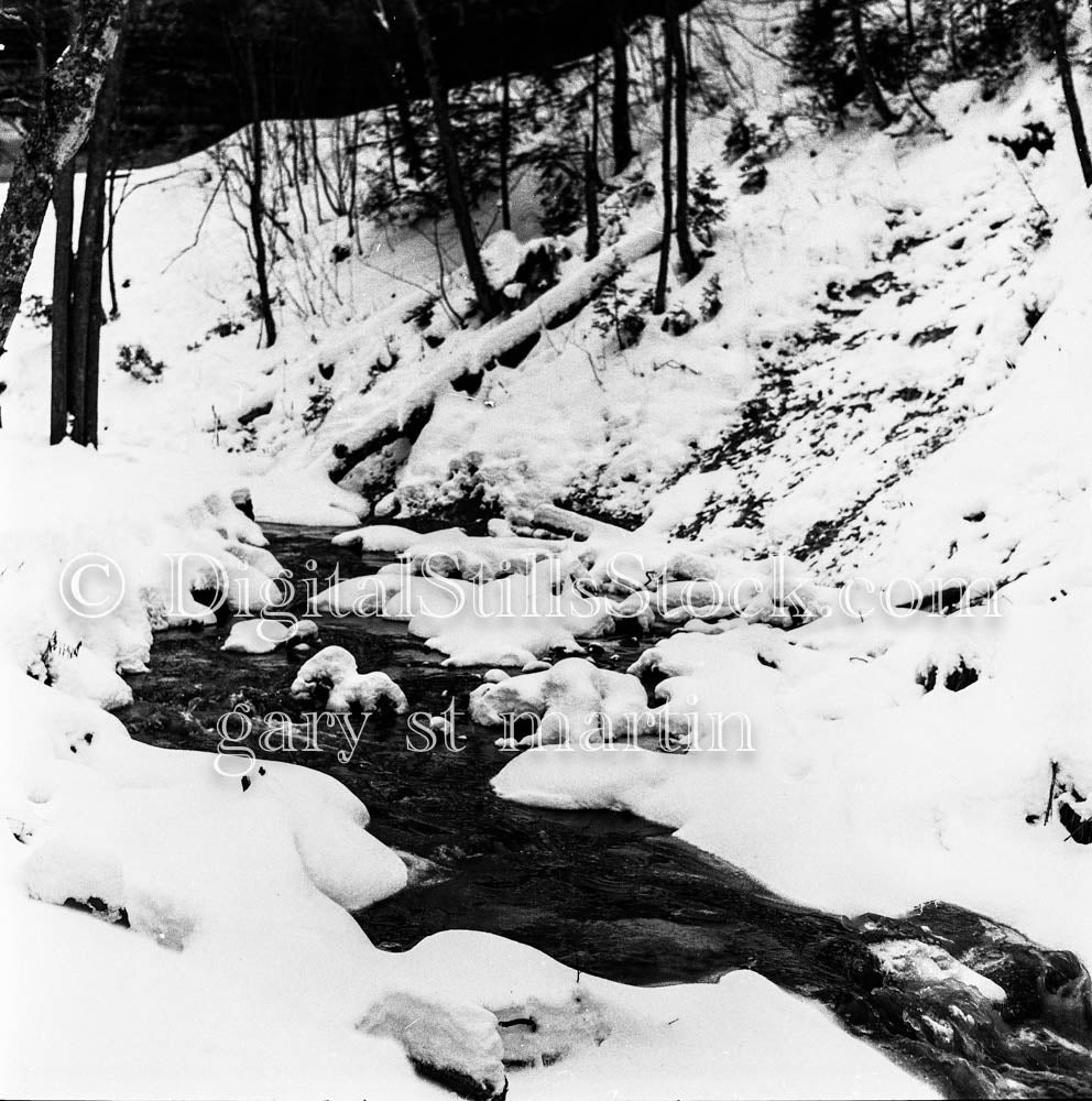 Stream Along Snow-filled Forest