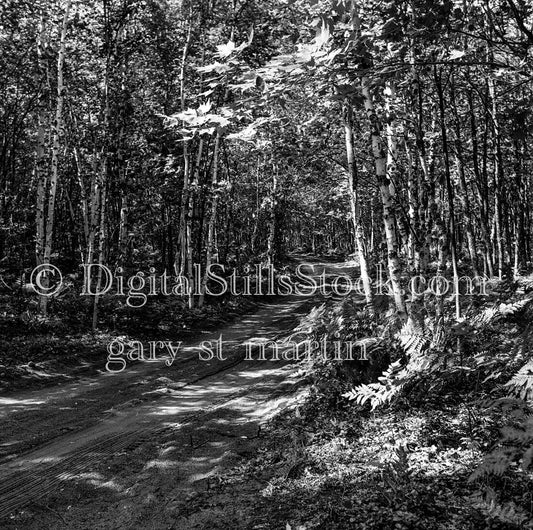Trail from Hurricane River to Au Sable, Light Station