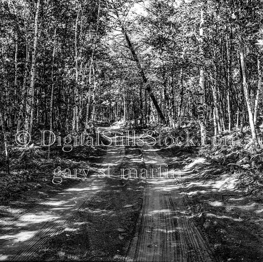 Dirt Trail to Au Sable Light Station, Michigan