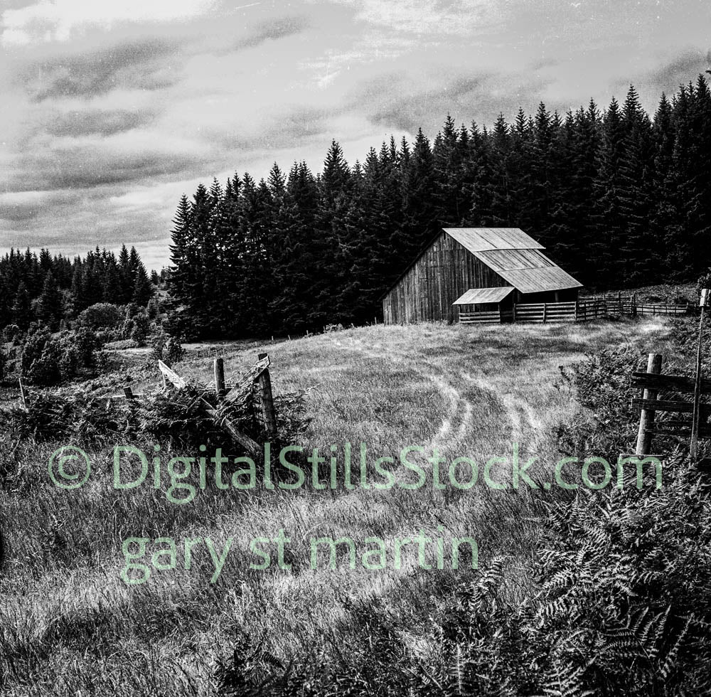 barn in the distance, analog, black and white, oddities