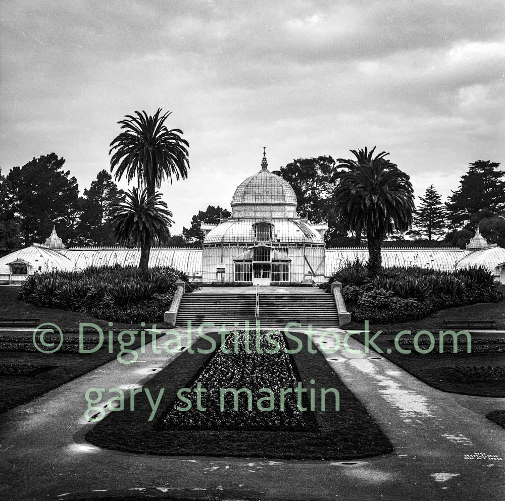 Balboa Park Botanical building, analog, black and white, oddities