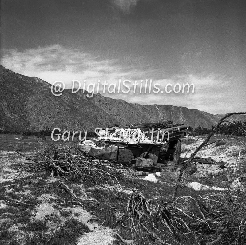 Smashed Car in the Desert, Black & White, Oddities