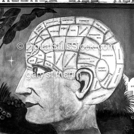 The Head, Tarot Reader, San Francisco, CA, Black & White, Oddities