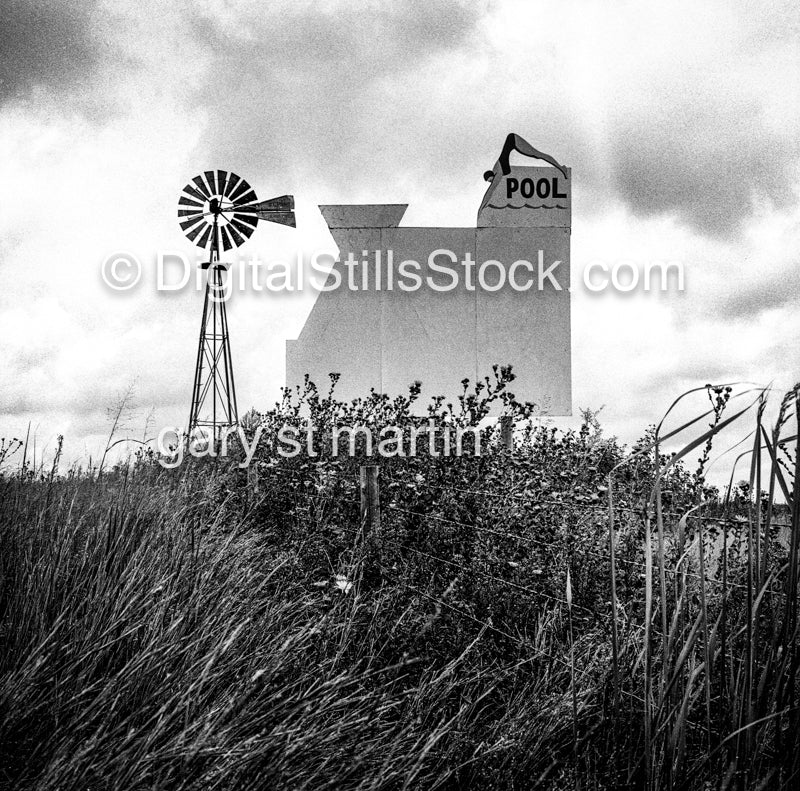 Pool, in a Field, Black & White, Oddities