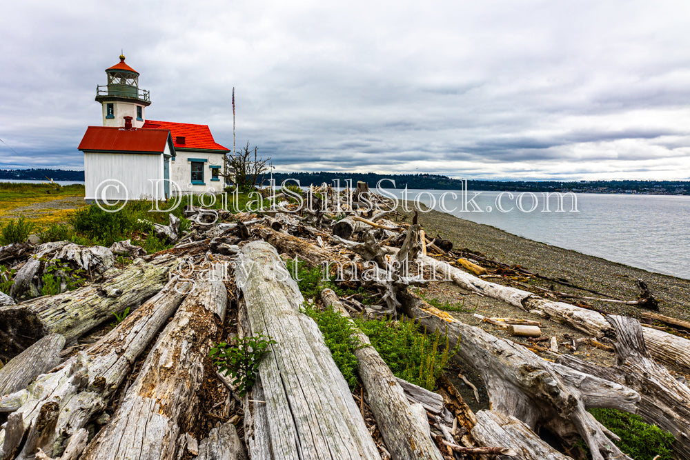 A Lighthouse alongside Coastal Driftwood - Vashon Island, digital Vashon Island
