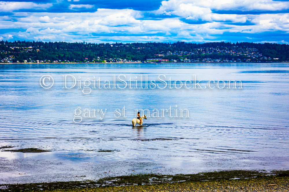Horse walking through the Lake - Vashon Island, digital Vashon Island