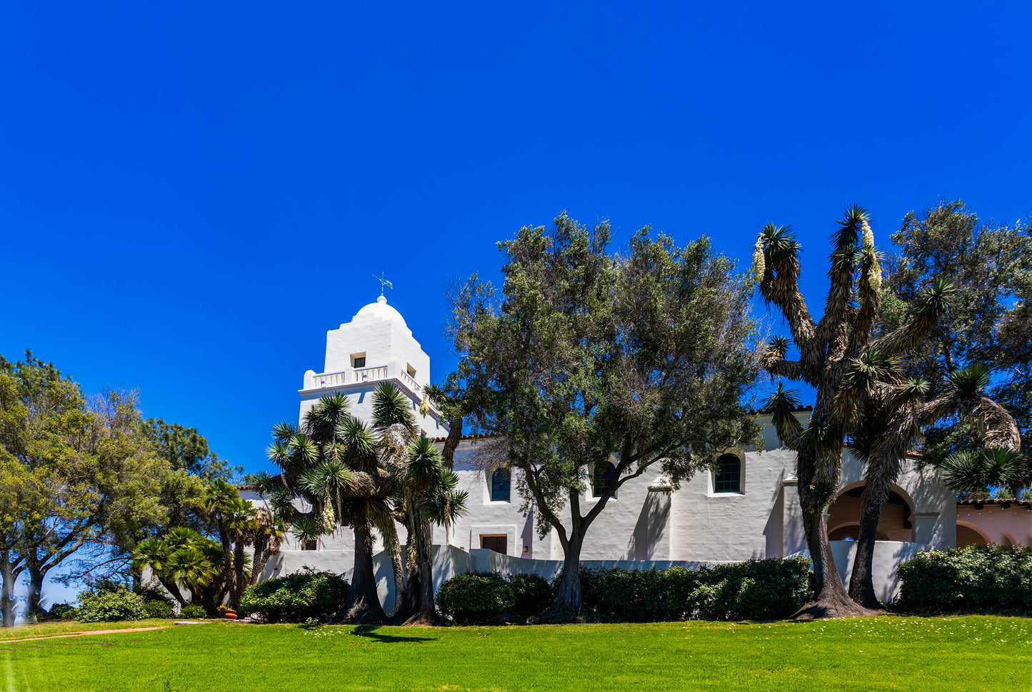 Junipero Serra Museum Blue Sky Surrounded by Tees and blue sky, digital, Museum