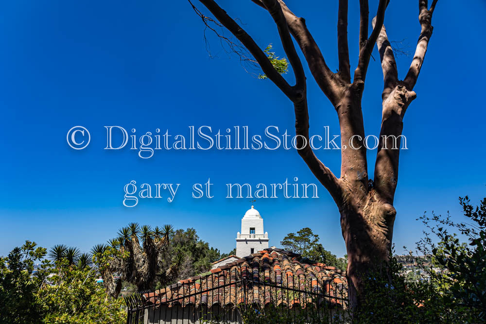 Junipero Serra Museum view from the rooftop and a tree, digital, museum