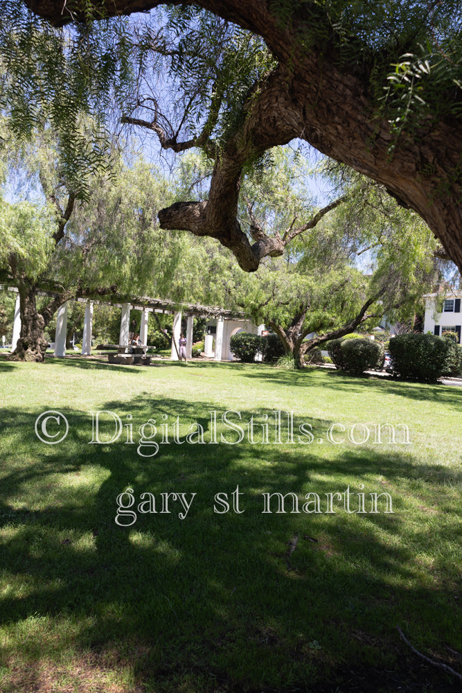 Out on the lawn of the Junipero Serra Mission, digital Junipero Serra