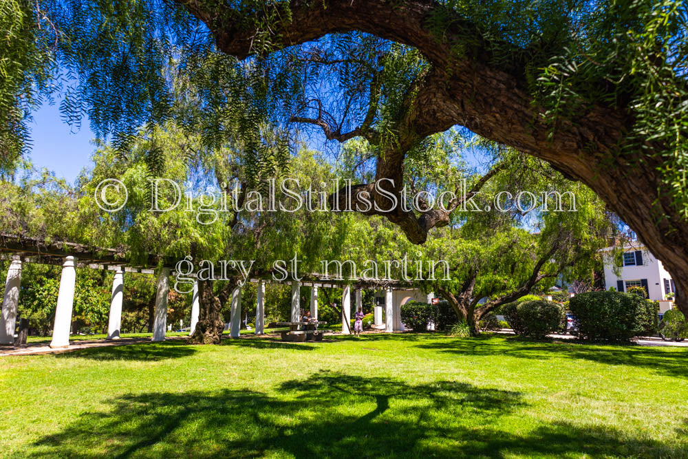 Junipero Serra Museum Arches in the shadows View #3, digital, museum