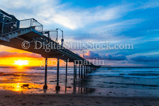 Birds Flying towards the Blazing Sun - Ocean Beach Pier, digital Ocean beach Pier