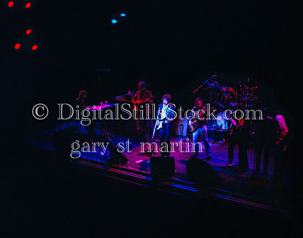 Bob Dylan Performing Live