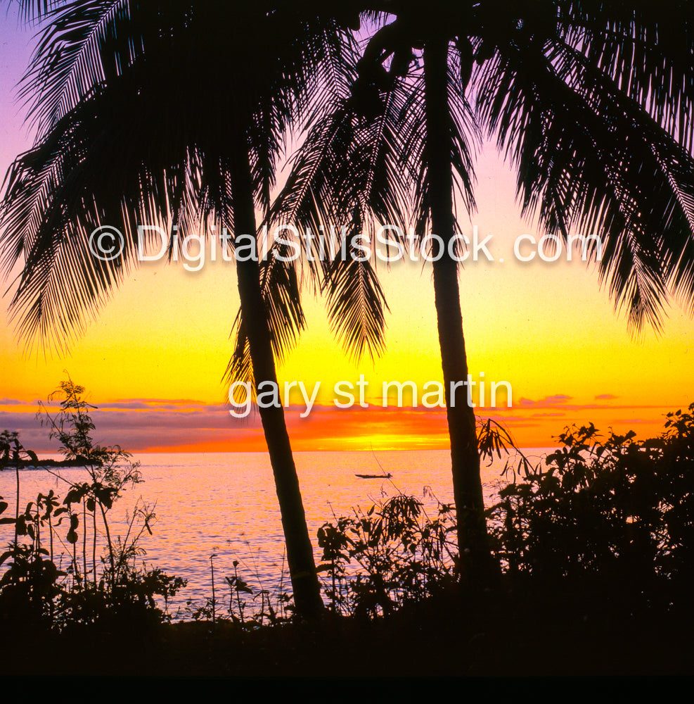 Colorful sunset behind palm trees on the Big Island, Hawaii, analog sunsets