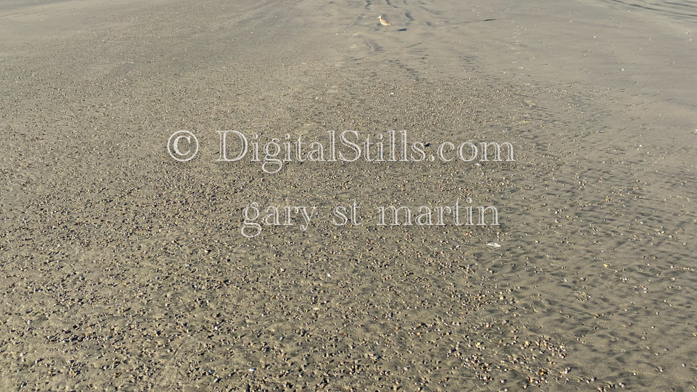 Millions of shells in the sand, digital sunset