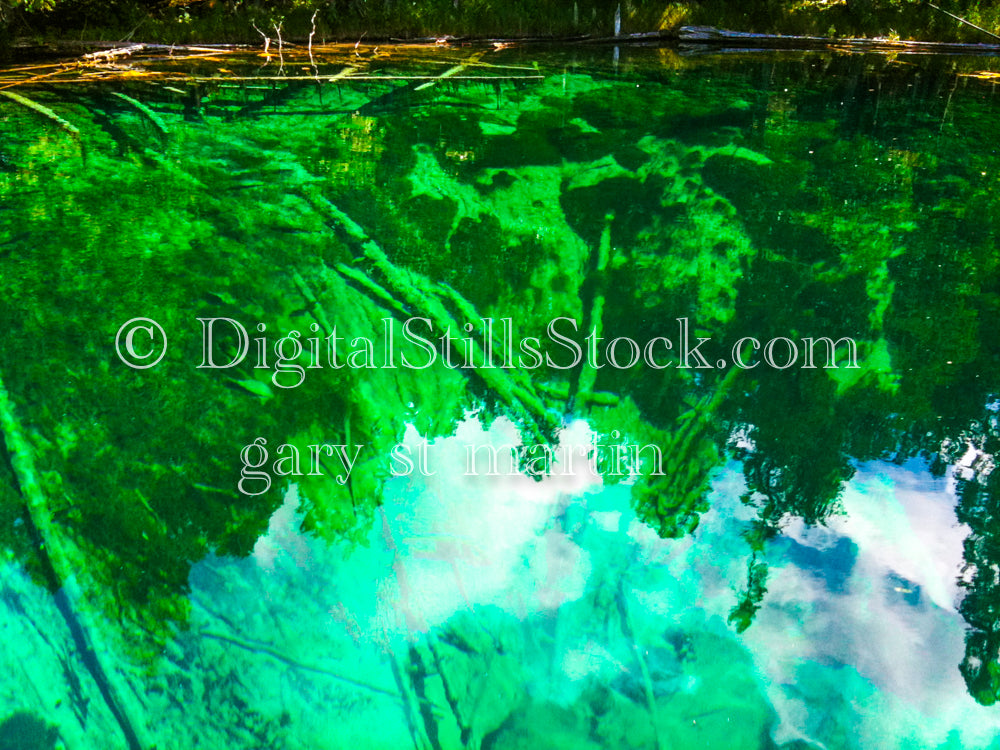 Looking deep down the bright green water, Big springs, digital big springs