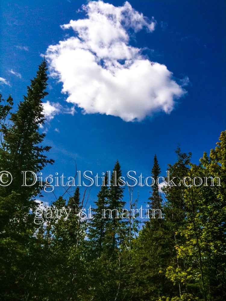 Fluffly clouds above the trees, digital Grand Marais
