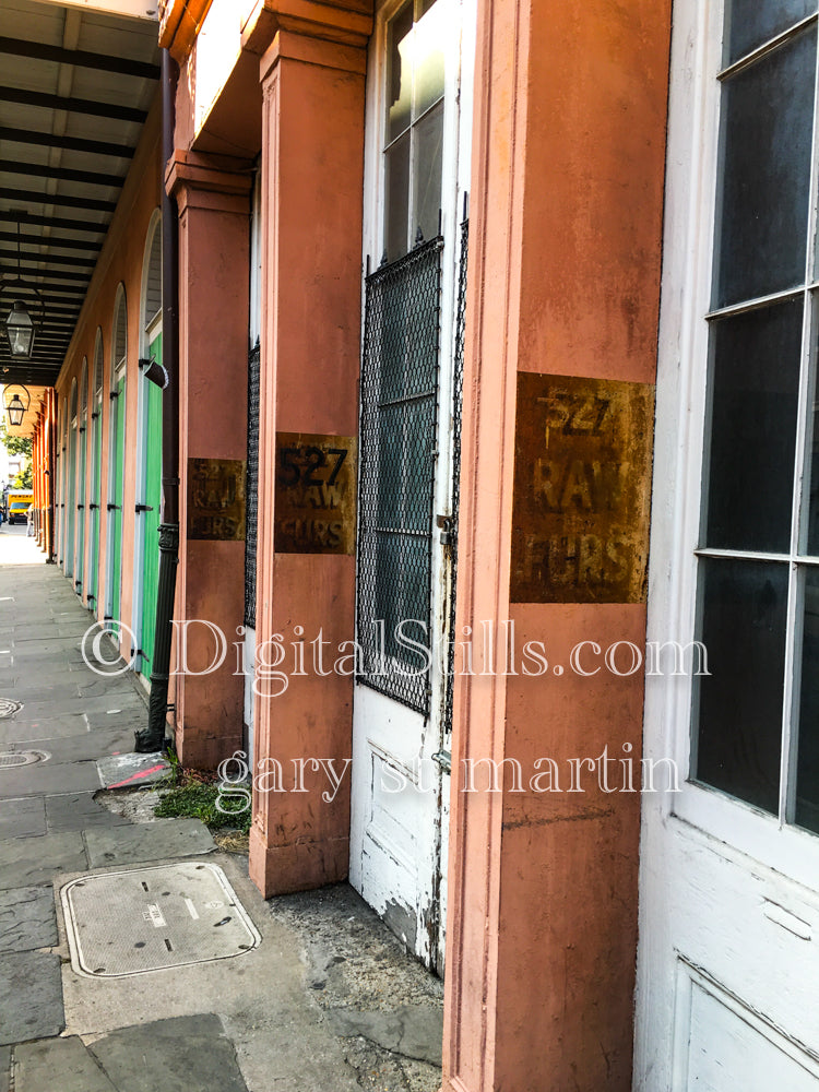 Along the street, Raw Furs, New Orleans, Digital