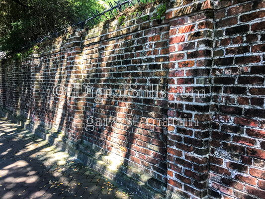 Red Brick Fence, New Orleans, Digital