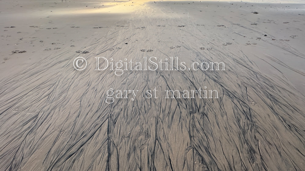 San Diego beaches, digital sunset