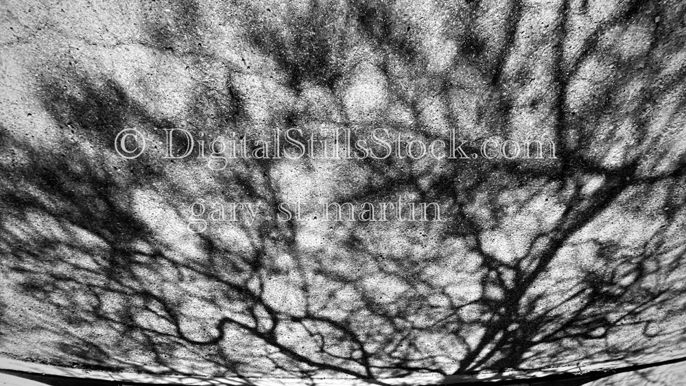 The Dark Web, digital shadow art