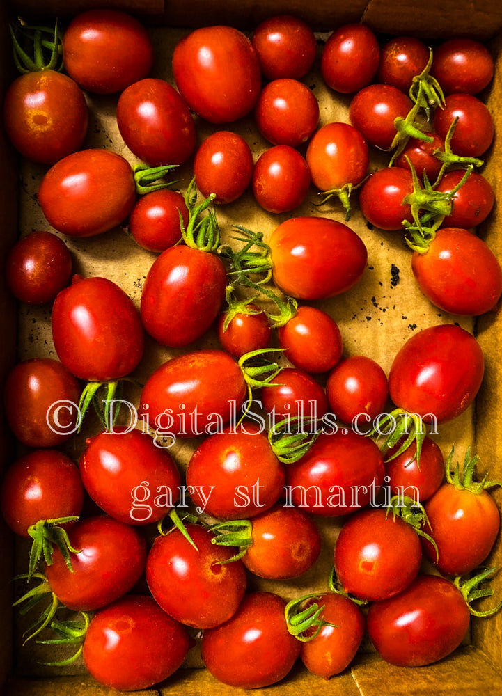 Baby Tomatoes, Digital, Scenery, Flowers