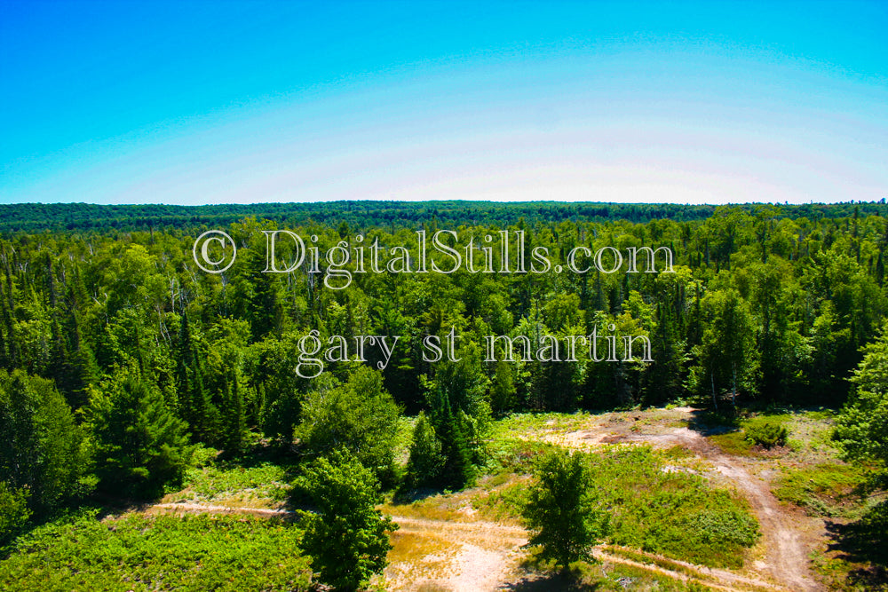 Looking out at the forest, digital Grand Marais